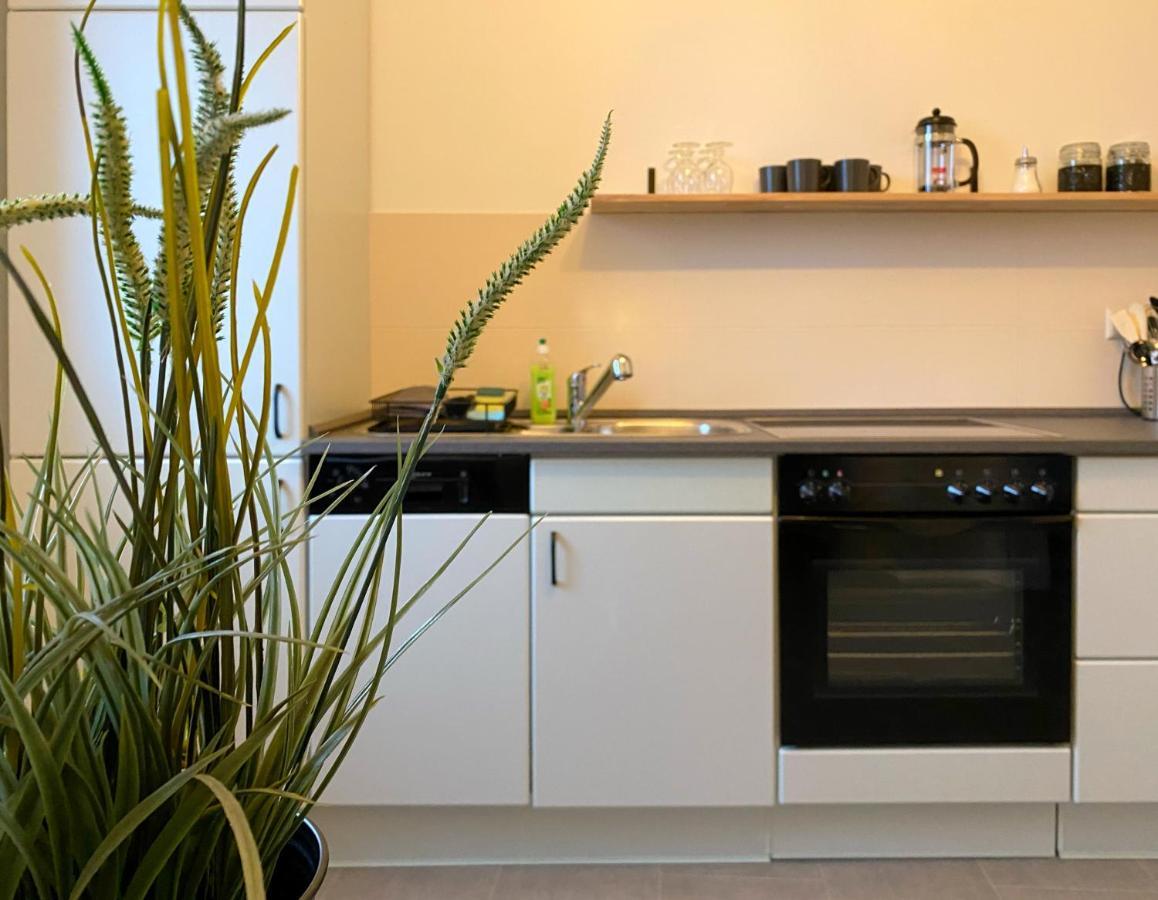 Elbnahe Ferienwohnung Mit 2 Schlafzimmern Coswig  Exteriér fotografie